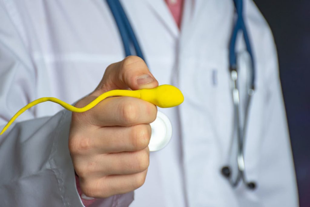 A doctor holding a yellow sperm model symbolising reproductive health